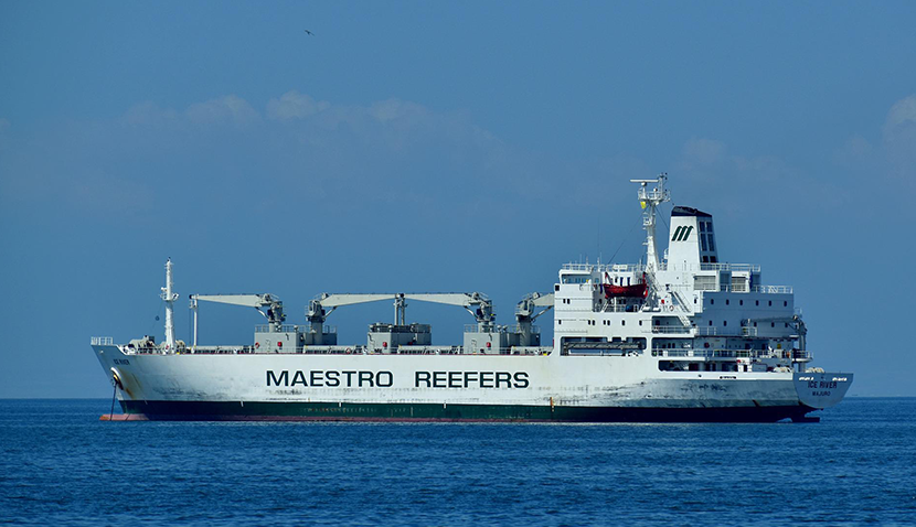 Transport maritime des produits frigorifiques