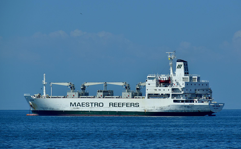 Transport maritime des produits frigorifiques