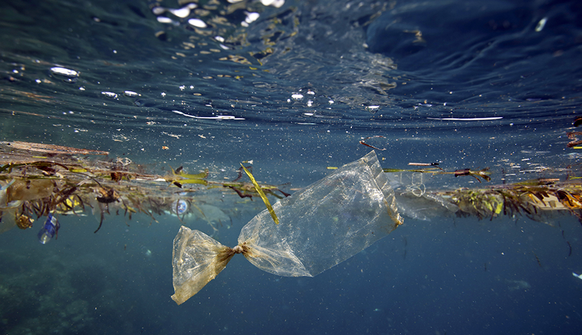 Pollution marine - déchets plastiques
