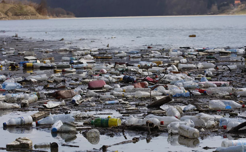 Déchets plastiques - Pollution marine